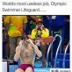 Maitre nageur dans une piscine olympique…