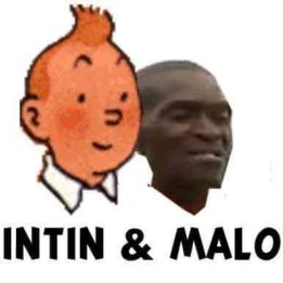 Tintin et malou