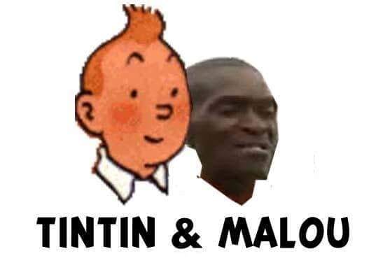 Tintin et malou 