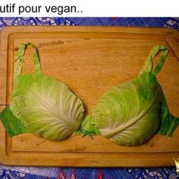 Soutif pour vegan