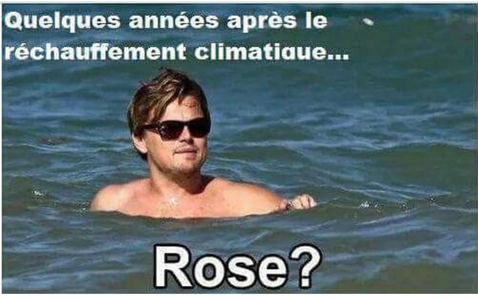 Rose? 