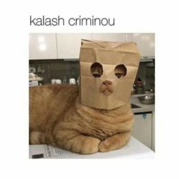 Kalash criminou