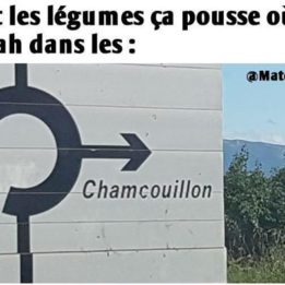 Chamcouillon