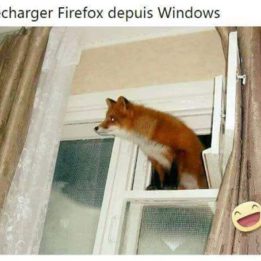 Télécharger Firefox depuis Windows