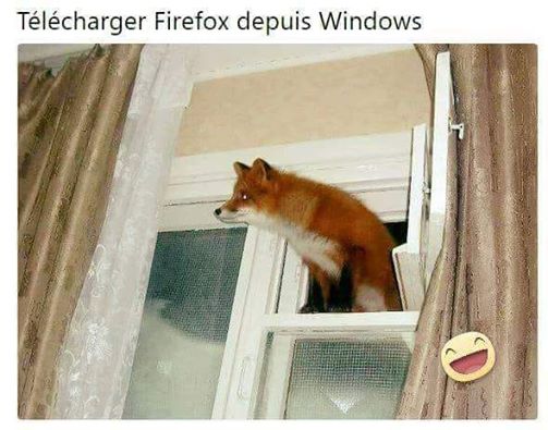 Télécharger Firefox depuis Windows 