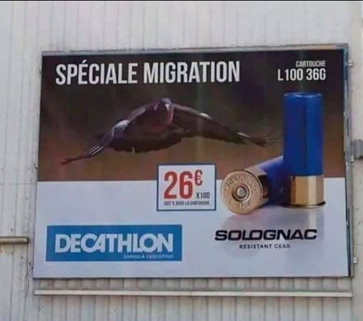 Decathlon spéciale migration 