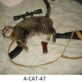 a cat 47