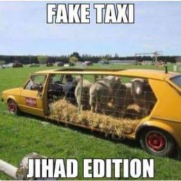 Fake taxi jihad edition