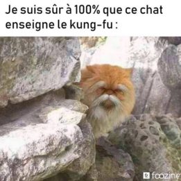 Chat Kung fu