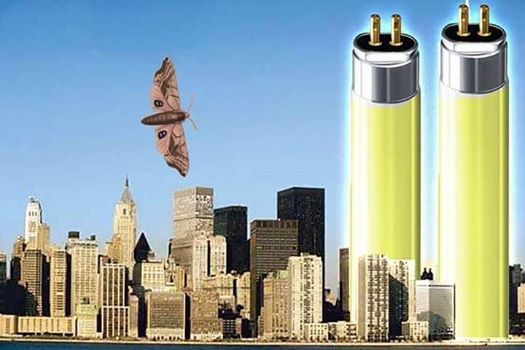 9/11 