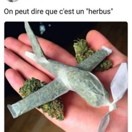 Herbus
