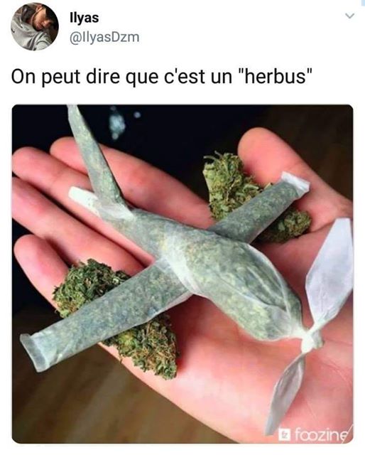 Herbus 