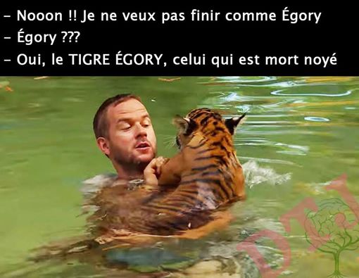 le tigre égory 
