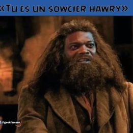 Hagrid black