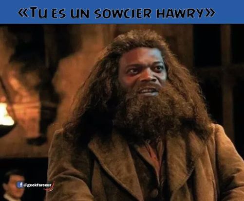 Hagrid black 