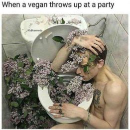 Quand les vegan vomissent en soirée