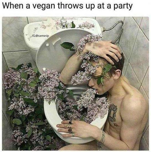 Quand les vegan vomissent en soirée 