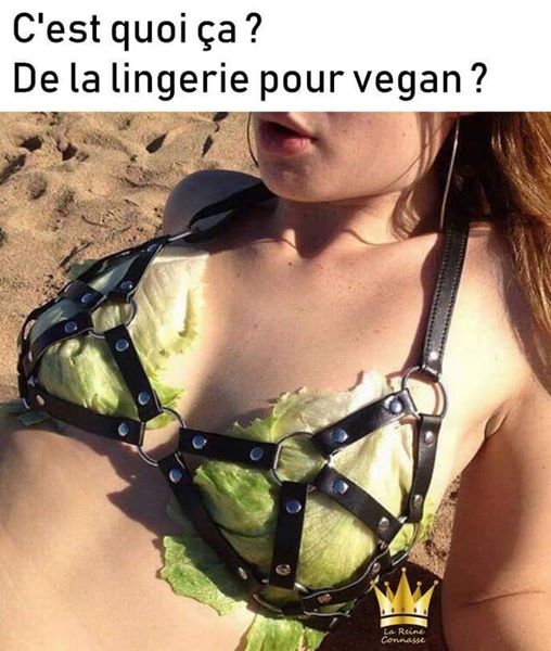 Lingerie vegan 