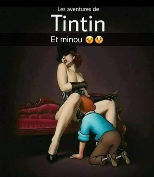 Tintin et minou 