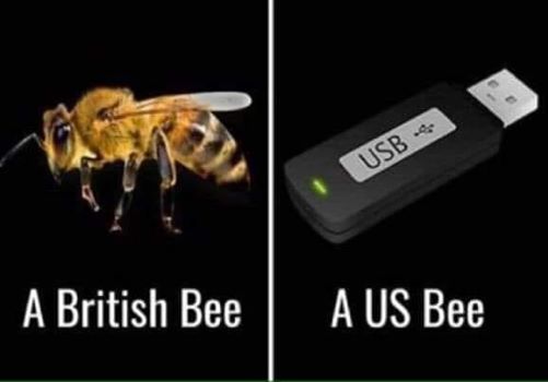 us bee 