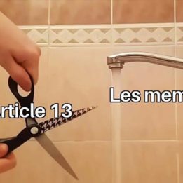 Article 13 meme