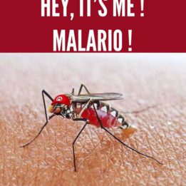 Malario