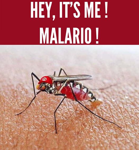 Malario 