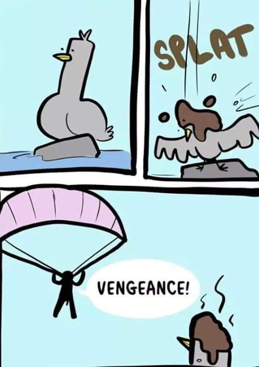 vengeance 