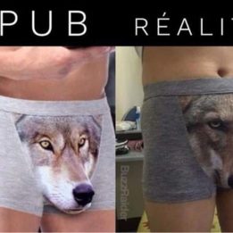 Pub vs réalité