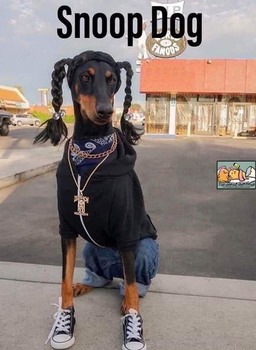 Snoop dog 