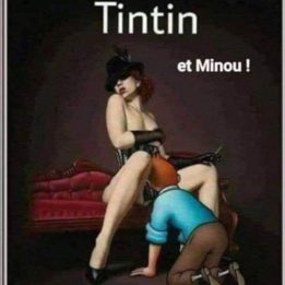 Tintin et minou