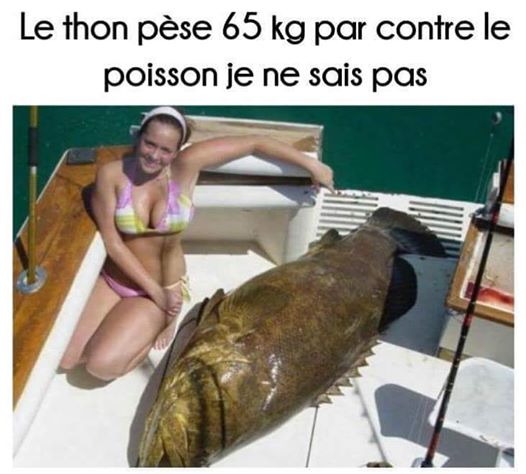 le thon pèse 65 kg 