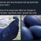Grand coq noir