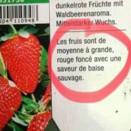 mangez des fraises!