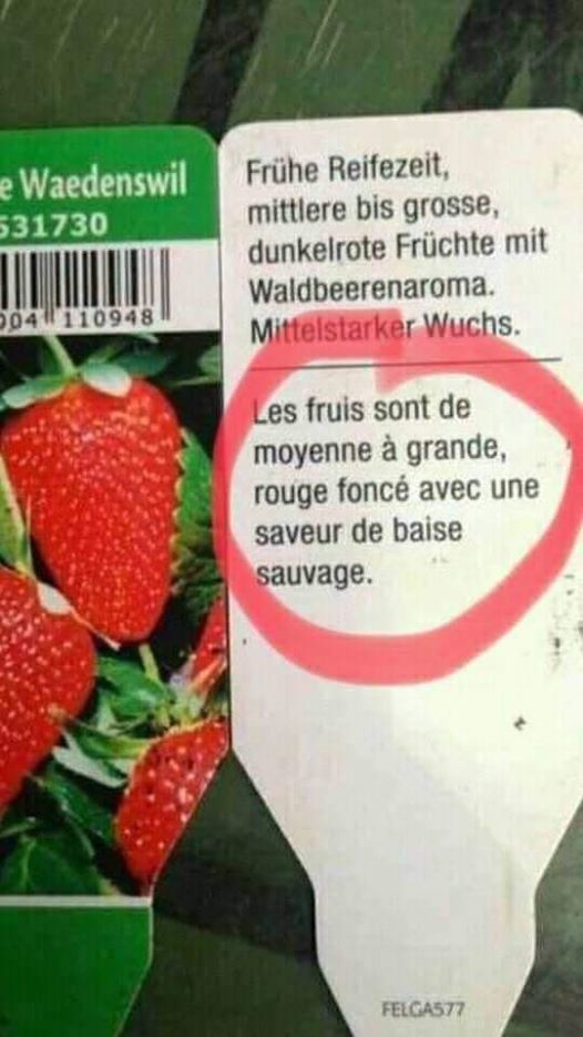 mangez des fraises! 