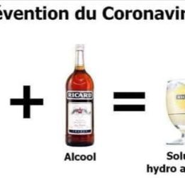 Solution hydro alcoolique