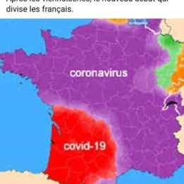 coronavirus vs covid-19