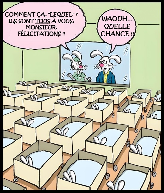 Bande dessinée humoristique : une salle avec de nombreux cartons sur roues contenant des lapins blancs. Écran au mur avec deux lapins, l'un pointant et l'autre surpris. Bulles de dialogue : « COMMENT ÇA, "LEQUEL" ? ILS SONT TOUS À VOUS, MONSIEUR. FÉLICITATIONS !! » et « WAOUH... QUELLE CHANCE !! ».