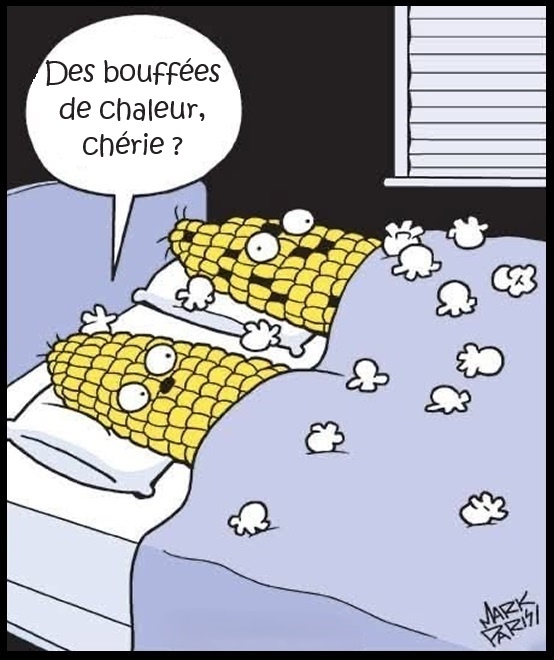 Deux épis de maïs anthropomorphes dans un lit, l'un au-dessus de l'autre, avec des grains blancs de maïs popés autour d'eux et une bulle de dialogue contenant le texte « Des bouffées de chaleur, chérie ? »
