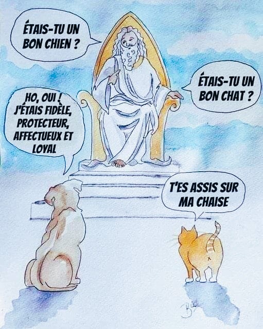 Caricature aquarelle de Dieu sur un trône dans les nuages, un chien et un chat orange avec des bulles de dialogue en français.