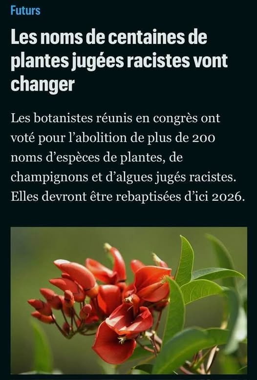 Capture d'écran d'un article titré 'Les noms de centaines de plantes jugées racistes vont changer' avec une photo de fleurs rouges en bas.