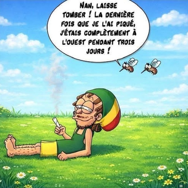 Nan, laisse tomber ! La dernière fois que je l'ai piqué