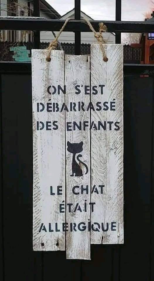 Pancarte en bois blanc vieilli suspendue par une corde sur une barrière noire, avec le texte 'ON S'EST DÉBARRASSÉ DES ENFANTS' en haut, une silhouette noire de chat au milieu et 'LE CHAT ÉTAIT ALLERGIQUE' en bas.