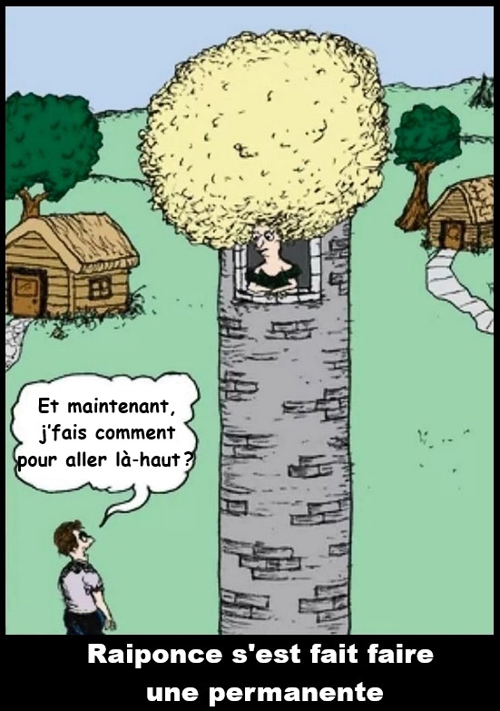 Dessin animé d'une tour en pierre avec une femme aux cheveux jaunes volumineux à la fenêtre, un homme en bas regardant vers le haut avec une bulle de texte, et une légende en bas.