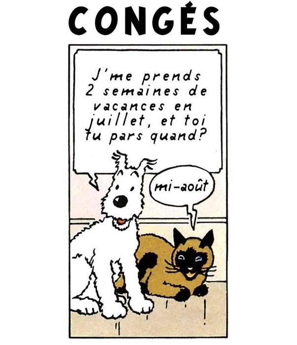 Bande dessinée intitulée CONGÉS. Un chien blanc poilu demande à un chat tigré 'J'me prends 2 semaines de vacances en juillet, et toi tu pars quand ?'. Le chat répond 'mi-août'.
