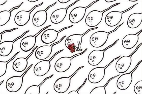 Dessin humoristique en noir et blanc de plusieurs spermatozoïdes avec des visages souriants, l'un au centre tenant un bouquet de roses rouges.