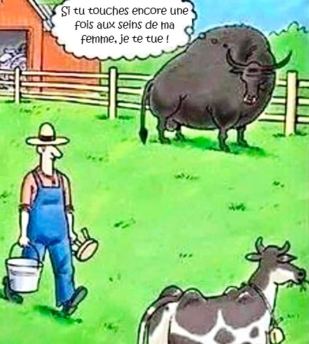Image de dessin animé avec un taureau noir debout dans un pré vert, un fermier en salopette bleue portant un seau et un bidon, une vache au premier plan et une grange rouge à l'arrière-plan. Bulle de parole du taureau : Si tu touches encore une fois aux seins de ma femme, je te tue !