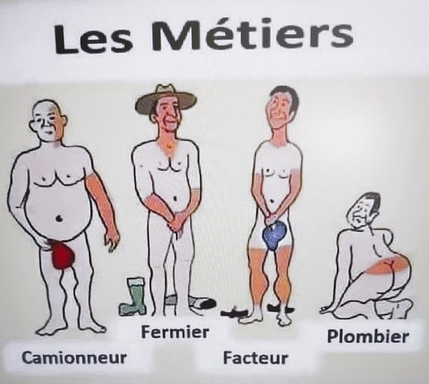 Quatre hommes nus dans un dessin humoristique intitulé Les Métiers. De gauche à droite : homme chauve et rond avec objet rouge au bas-ventre, homme au chapeau de paille, homme tenant objet bleu, homme agenouillé avec fesses visibles. Labels : Camionneur, Fermier, Facteur, Plombier.