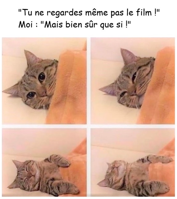 Grille de quatre photos d'un chat gris tigré avec couverture orange. Texte supérieur : 'Tu ne regardes même pas le film !' et 'Moi : Mais bien sûr que si !'. Le chat passe d'yeux ouverts à yeux fermés, couché sur le dos puis sur le côté.