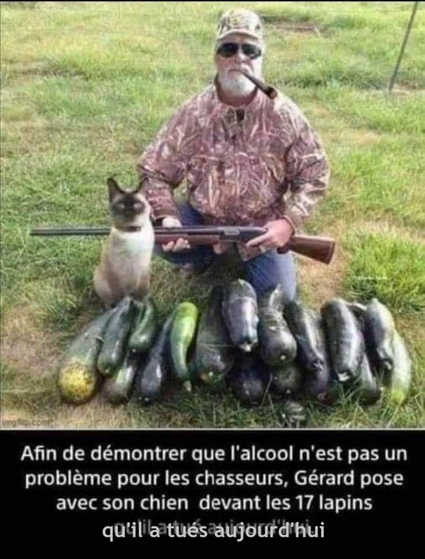 Un homme âgé en tenue camouflage tenant un fusil, casquette, lunettes et pipe, assis dans l'herbe avec un chat siamois à côté et des courgettes alignées devant lui, texte en bas en français.